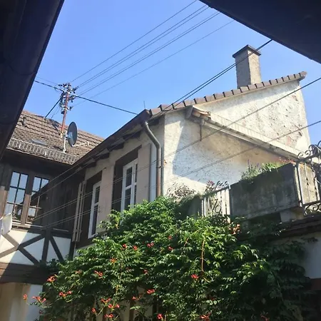Apartment Auerbacher Ferienwohnung Fuer Bis Zu 4 Personen Nahe Am Europapark Rust Kippenheim Exterior photo