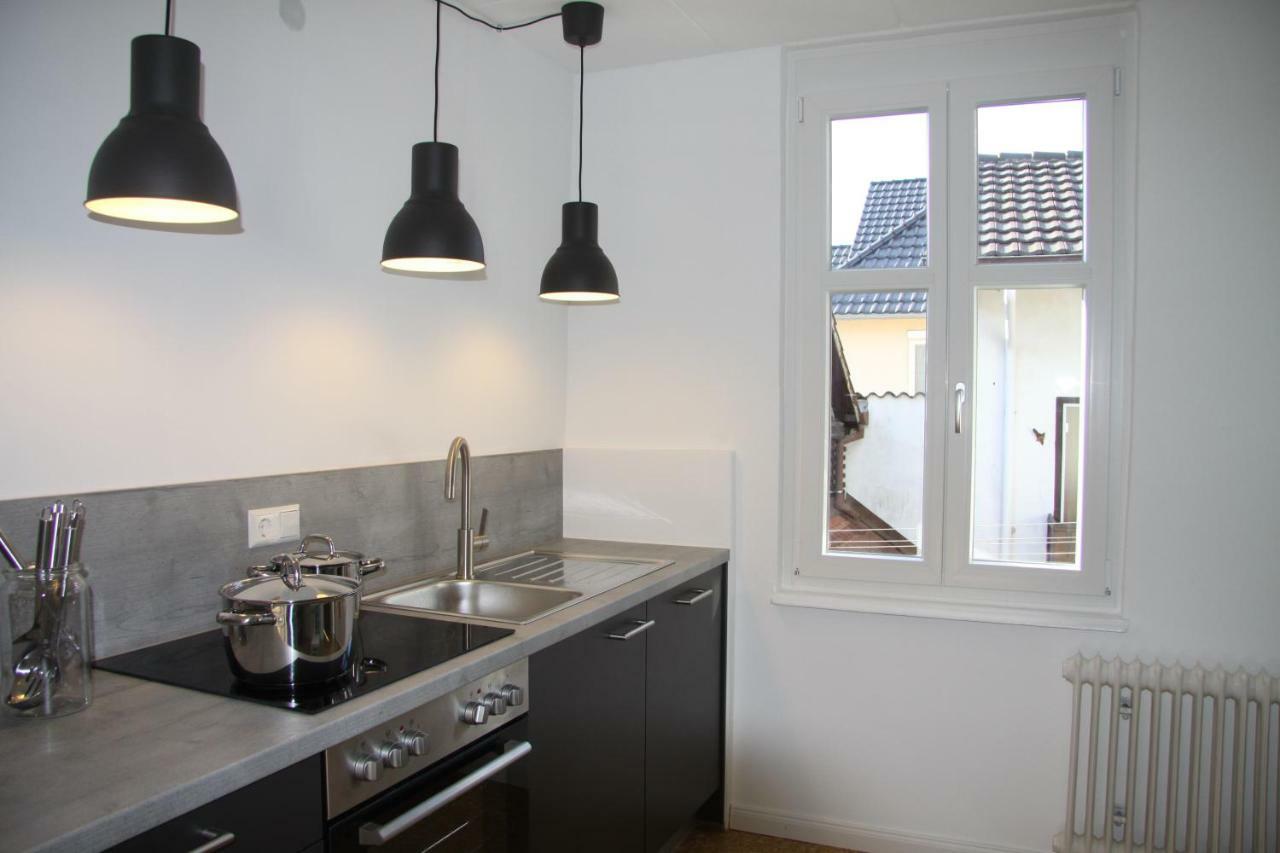 Auerbacher Fuer Bis Zu 4 Personen Nahe Am Europapark Rust Apartment